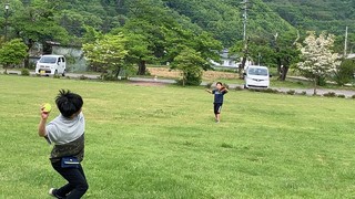 IMG_2310.jpg