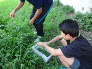 DSC02711.JPG
