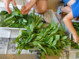 DSC02715.JPG