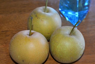 DSC_4876.JPG