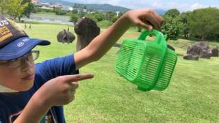 IMG_2927.jpeg