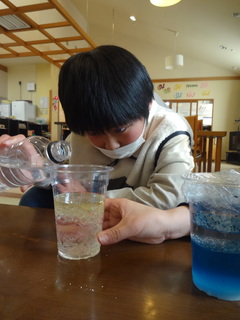 DSC05252.JPG