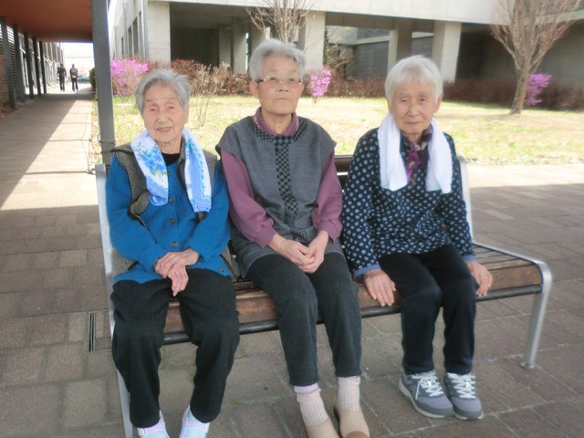 CIMG8196.JPG