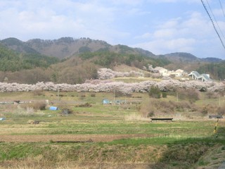 CIMG8222.JPG