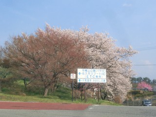 CIMG8227.JPG