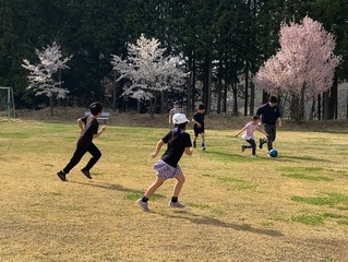 IMG_3992.jpeg